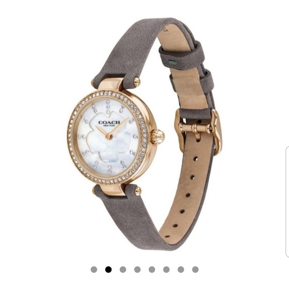 Coach Mother of Pearl Dial Watch - Picture 3 of 8